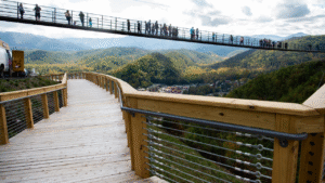 Things That Are About 1000 Feet (ft) Long