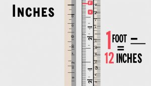 How To Convert 62 Inches in Feet?