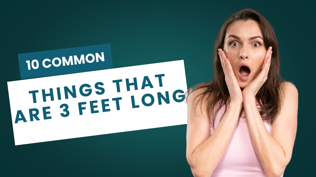 10 Common Things That Are 3 feet long