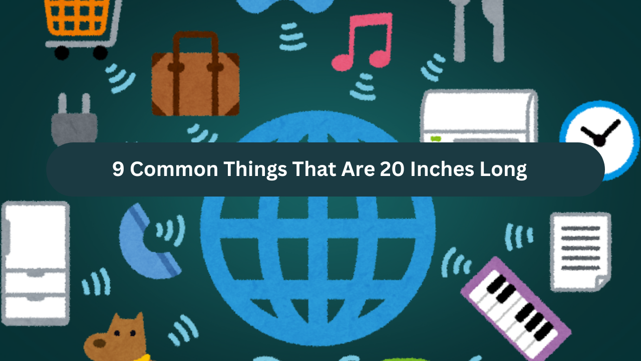 9 Common Things That Are 20 Inches Long
