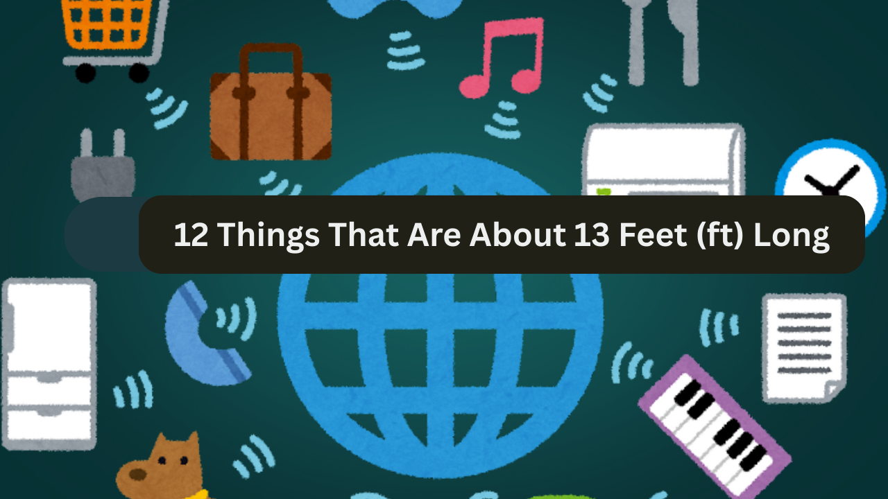 12 Things That Are About 13 Feet (ft) Long