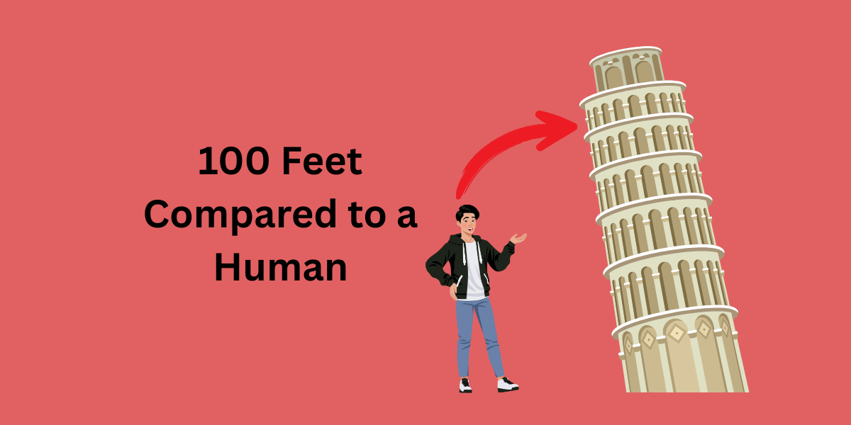 How Tall Is 100 Feet Compared to a Human?